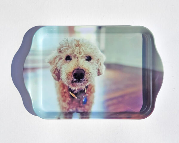 custom rolling tray dog