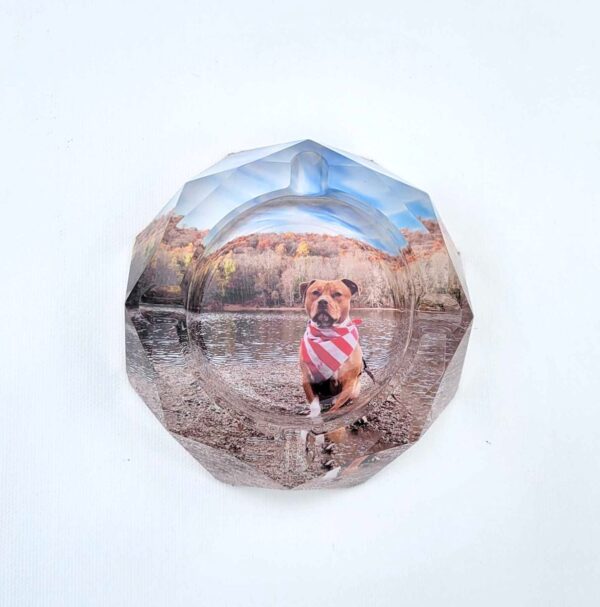 customcrystalglassashtray-dogphoto